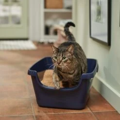 Vetbasis Herbal Lavender Scented Clumping Corn Cat Litter -Furry Friends 178316 PT3. AC SS1800 V1680789622