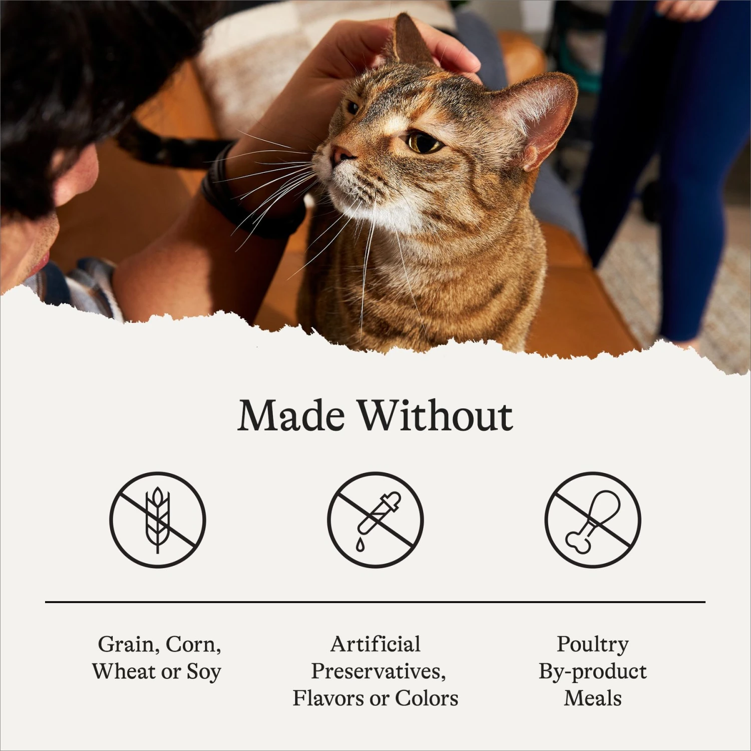 American Journey Minced Poultry & Seafood In Gravy Variety Pack Grain-Free Canned Cat Food 7 American Journey Minced Poultry & Seafood In Gravy Variety Pack Grain-Free Canned Cat Food - Image 5