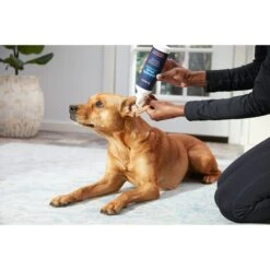 Frisco Anti-Bacterial And Anti-Fungal Ear Flush Cleaner For Cats & Dogs, 12-oz Bottle -Furry Friends 178705 PT3. AC SS1800 V1582124328