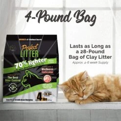 Pet Healthy Brands Perfect Cat Unscented Clumping Natural Cat Litter -Furry Friends 179209 PT1. AC SS1800 V1565788688