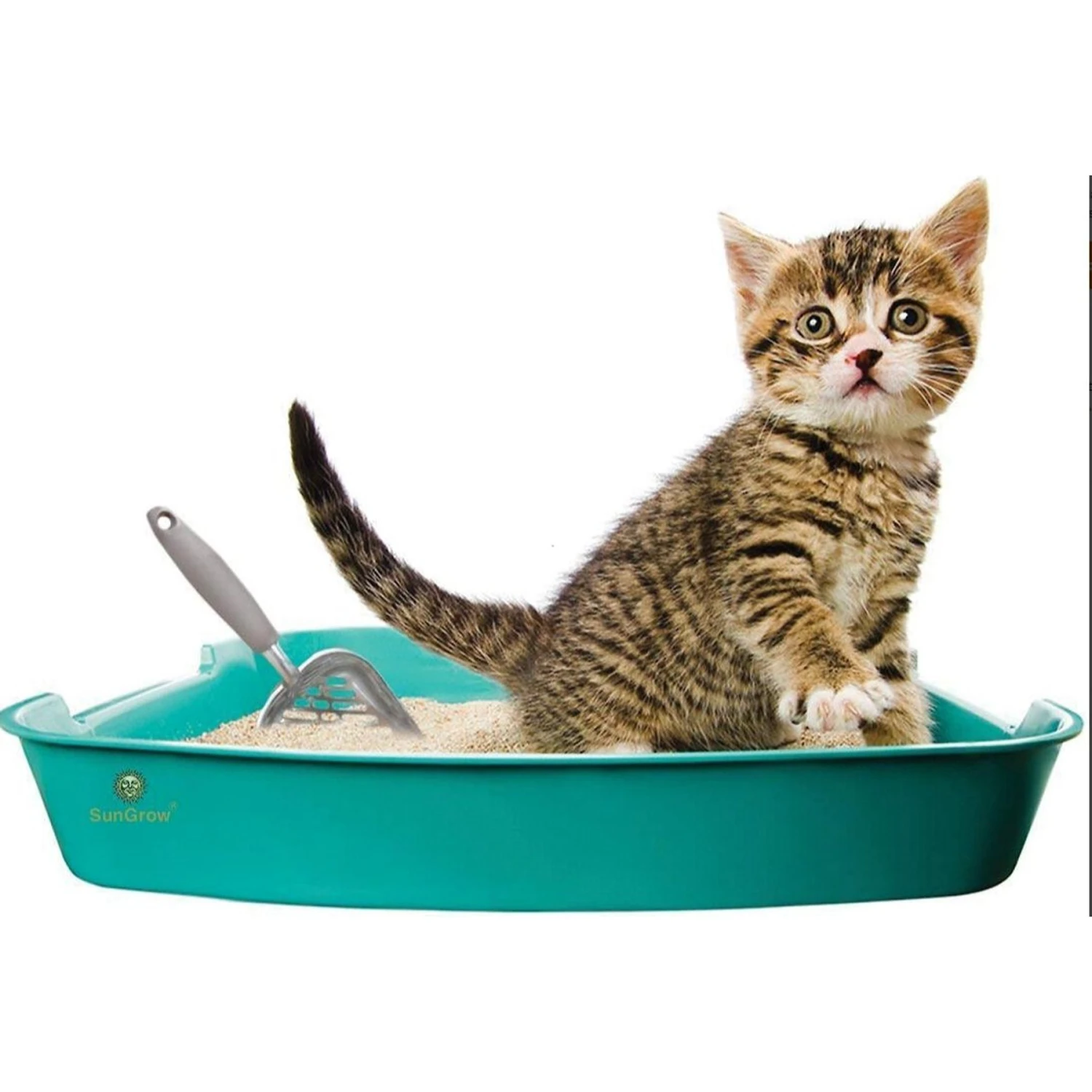 SunGrow Non-Stick Metal Scoop Kitty Box Cat Litter Scooper 5 SunGrow Non-Stick Metal Scoop Kitty Box Cat Litter Scooper - Image 3