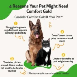 Pet Wellbeing Comfort GOLD For Occasional Discomfort For Cats & Dogs -Furry Friends 180326 PT2. AC SS1800 V1695306525