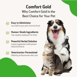 Pet Wellbeing Comfort GOLD For Occasional Discomfort For Cats & Dogs -Furry Friends 180326 PT4. AC SS1800 V1695306470