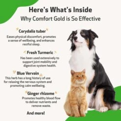 Pet Wellbeing Comfort GOLD For Occasional Discomfort For Cats & Dogs -Furry Friends 180326 PT5. AC SS1800 V1695306525