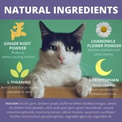 Under The Weather Calming Soft Chews Cat Supplement -Furry Friends 180460 PT3. AC SS1800 V1618872478