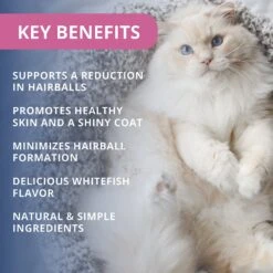 Under The Weather Hairball Support Soft Chews Cat Supplement -Furry Friends 180462 PT2. AC SS1800 V1618874518