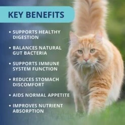 Under The Weather Probiotic Soft Chews Cat Supplement -Furry Friends 180466 PT3. AC SS1800 V1618870365