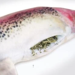 Meowijuana Refillable Get Smoked Catnip Fish Cat Toy -Furry Friends 181282 PT4. AC SS1800 V1631681797