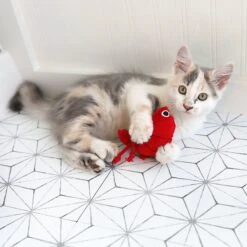 Mad Cat Pouncin' Prawn Catnip & Silvervine Cat Toy -Furry Friends 181806 PT4. AC SS1800 V1637611895