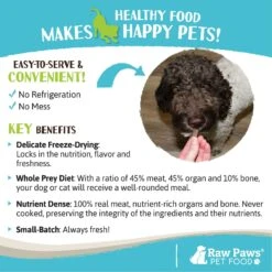 Raw Paws All Natural Freeze-Dried Grass-Fed Beef Recipe Dog & Cat Treats -Furry Friends 181987 PT4. AC SS1800 V1687550427