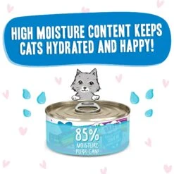 BFF OMG Chase Me! Tuna & Chicken Flavor Wet Canned Cat Food -Furry Friends 182253 PT3. AC SS1800 V1647899805