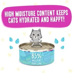 BFF OMG Dream Team! Chicken & Duck In Gravy Wet Canned Cat Food 14 BFF OMG Dream Team! Chicken & Duck In Gravy Wet Canned Cat Food -Furry Friends 182271 PT3. AC SS1800 V1647911238
