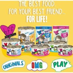 BFF OMG Dream Team! Chicken & Duck In Gravy Wet Canned Cat Food 15 BFF OMG Dream Team! Chicken & Duck In Gravy Wet Canned Cat Food -Furry Friends 182271 PT4. AC SS1800 V1647909396