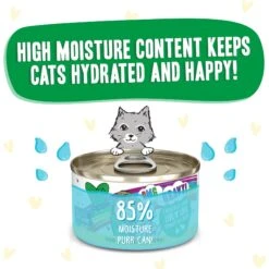 BFF OMG Live N' Love! Chicken & Lamb In Gravy Wet Canned Cat Food -Furry Friends 182273 PT3. AC SS1800 V1694183090