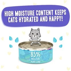 BFF OMG Be Happy! Chicken & Beef In Gravy Wet Canned Cat Food 14 BFF OMG Be Happy! Chicken & Beef In Gravy Wet Canned Cat Food -Furry Friends 182276 PT3. AC SS1800 V1647909779