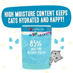 BFF OMG Charge Me Up! Chicken In Gravy Wet Cat Food 14 BFF OMG Charge Me Up! Chicken In Gravy Wet Cat Food -Furry Friends 182278 PT3. AC SS1800 V1694184542