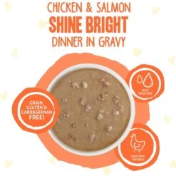 BFF OMG Shine Bright! Chicken & Salmon In Gravy Wet Cat Food Pouches -Furry Friends 182280 PT2. AC SS1800 V1644916949
