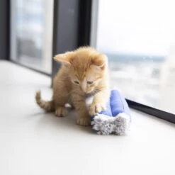 JW Pet Kitty Kickz Cat Toy -Furry Friends 182743 PT2. AC SS1800 V1602336971