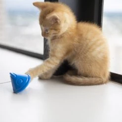 JW Pet Tumbler Cat Toy -Furry Friends 182745 PT2. AC SS1800 V1602337883