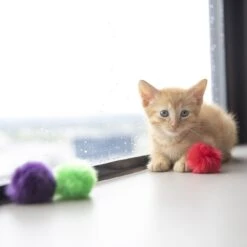 JW Pet Fun Fluffs Cat Toys, 3 Count -Furry Friends 182747 PT2. AC SS1800 V1602307869