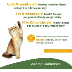 Almo Nature HQS Natural Chicken Recipe Kitten Canned Cat Food 10 Almo Nature HQS Natural Chicken Recipe Kitten Canned Cat Food -Furry Friends 182893 PT5. AC SS1800 V1639540593