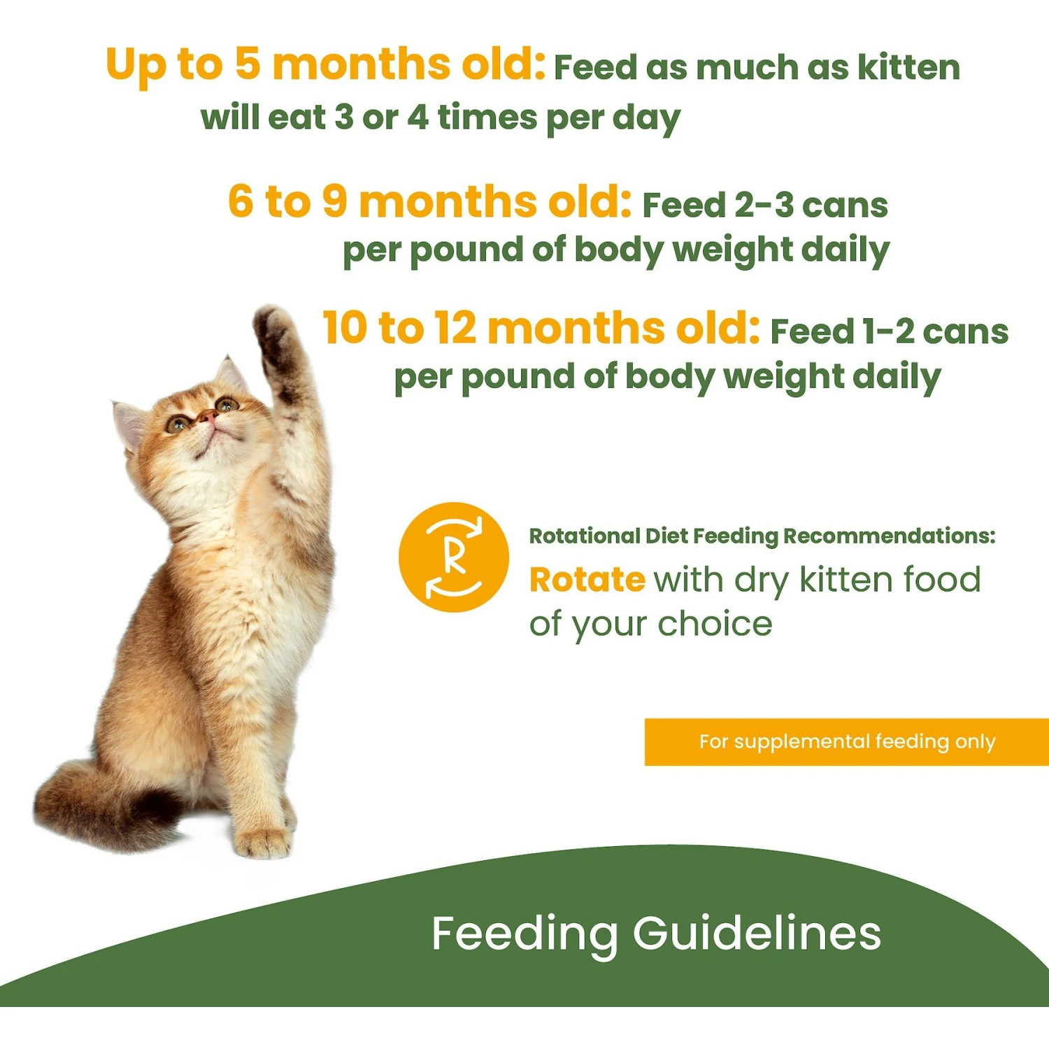 Almo Nature HQS Natural Chicken Recipe Kitten Canned Cat Food 6 Almo Nature HQS Natural Chicken Recipe Kitten Canned Cat Food - Image 4