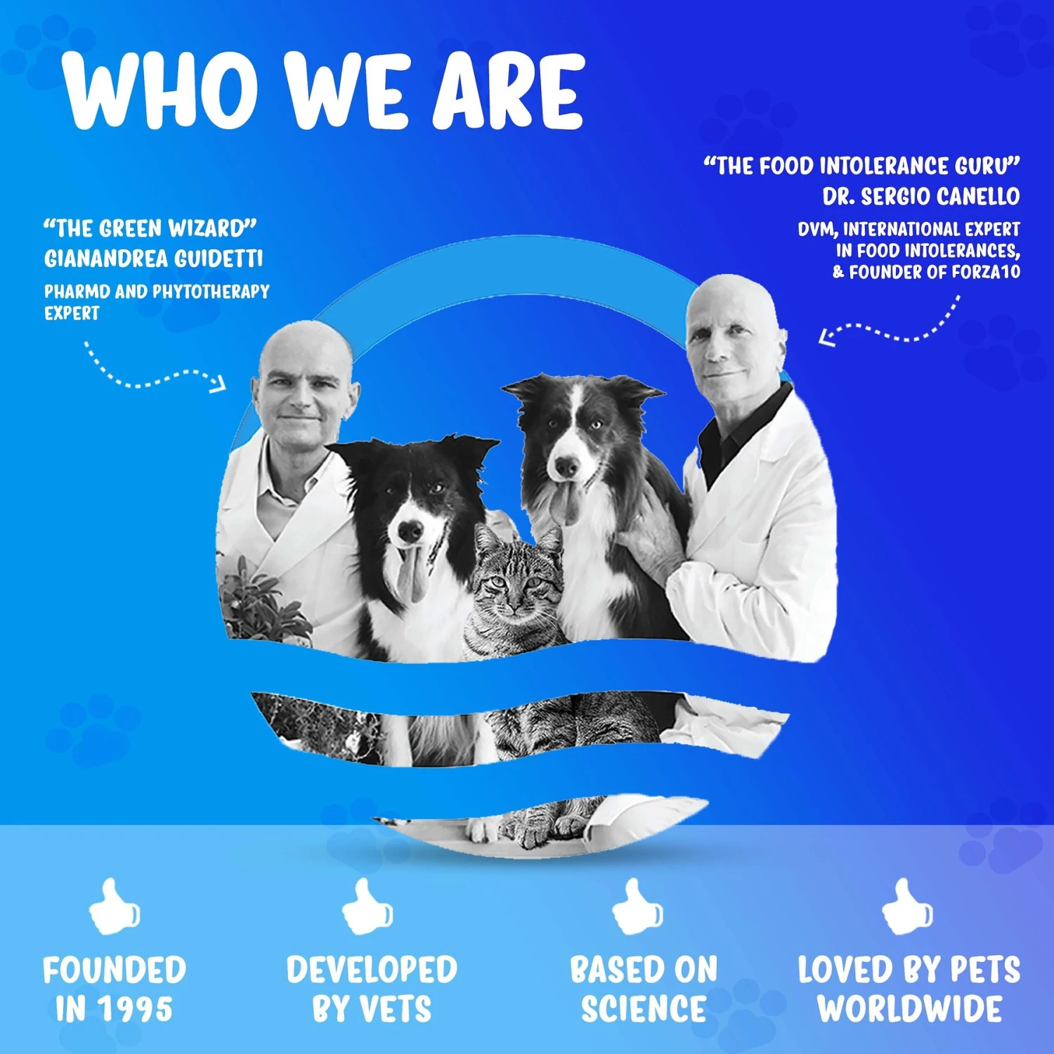 Forza10 Nutraceutic Active Urinary Dry Cat Food 6 Forza10 Nutraceutic Active Urinary Dry Cat Food - Image 4