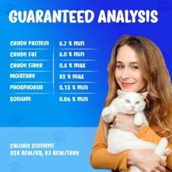 Forza10 Nutraceutic Actiwet Renal Support Wet Cat Food -Furry Friends 183209 PT5. AC SS1800 V1643214449