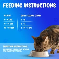 Forza10 Nutraceutic Actiwet Renal Support Wet Cat Food -Furry Friends 183209 PT6. AC SS1800 V1643316110