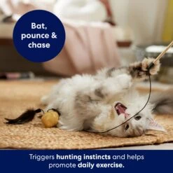 Frisco Sparkle Ball Teaser Wand Cat Toy With Catnip -Furry Friends 183254 PT3. AC SS1800 V1695241915