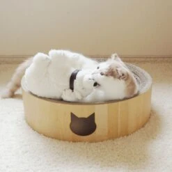 Necoichi Cozy Cat Scratcher Bowl Toy -Furry Friends 183517 PT8. AC SS1800 V1702938859