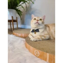 Necoichi Cozy Cat Scratcher Bowl Replacement Pad -Furry Friends 183519 PT5. AC SS1800 V1647460001