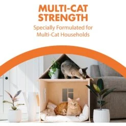 Arm & Hammer Litter Naturals Scented Clumping Corn Cat Litter 17 Arm & Hammer Litter Naturals Scented Clumping Corn Cat Litter -Furry Friends 184404 PT6. AC SS1800 V1663798197