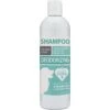 Project Paws Deodorizing Baking Soda Dog & Cat Shampoo -Furry Friends 186818 MAIN. AC SS1800 V1564428432