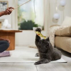 Ethical Pet Gone Fishin' Teaser Wand Cat Toy, Color Varies -Furry Friends 189212 PT3. AC SS1800 V1682711085