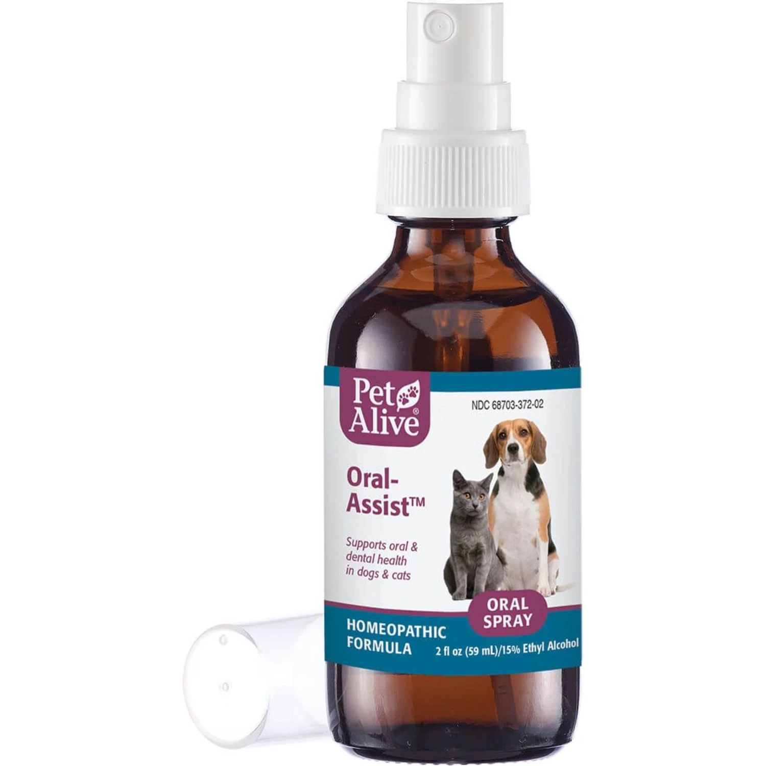 PetAlive Oral-Assist Homeopathic Medicine For Dental Infections For Dogs & Cats, 2-oz Bottle 3 PetAlive Oral-Assist Homeopathic Medicine For Dental Infections For Dogs & Cats, 2-oz Bottle
