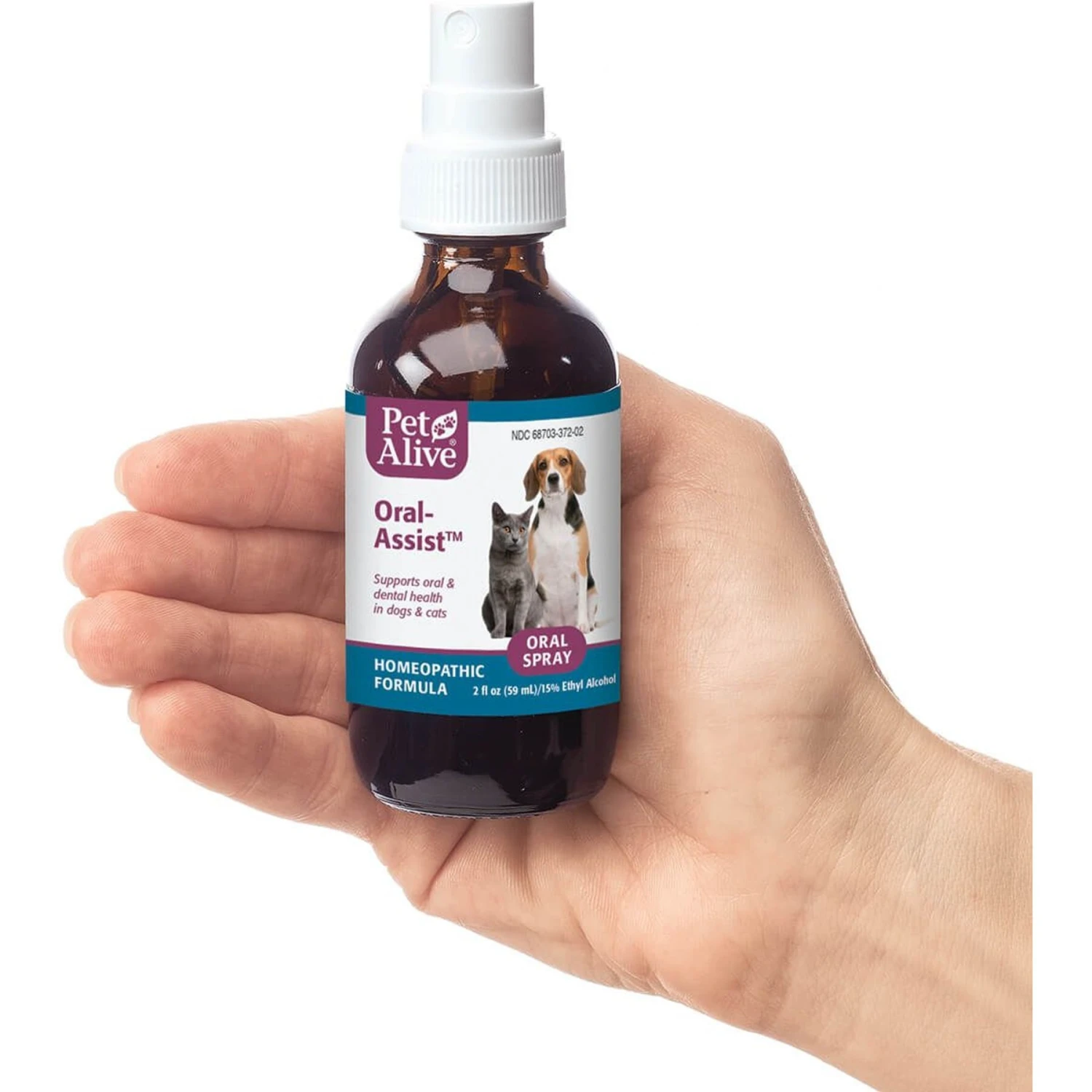 PetAlive Oral-Assist Homeopathic Medicine For Dental Infections For Dogs & Cats, 2-oz Bottle 4 PetAlive Oral-Assist Homeopathic Medicine For Dental Infections For Dogs & Cats, 2-oz Bottle - Image 2
