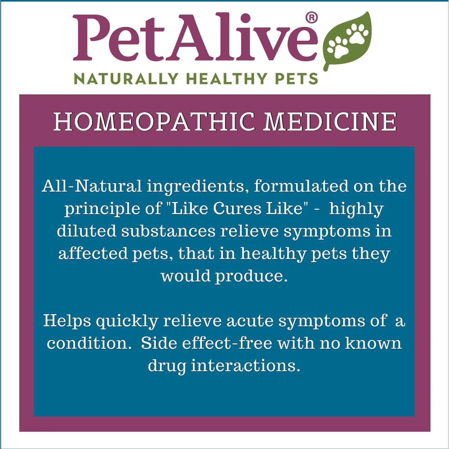 PetAlive Oral-Assist Homeopathic Medicine For Dental Infections For Dogs & Cats, 2-oz Bottle 6 PetAlive Oral-Assist Homeopathic Medicine For Dental Infections For Dogs & Cats, 2-oz Bottle - Image 4