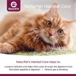 NaturPet Liquid Hairball Control Supplement For Cats & Dogs -Furry Friends 191468 PT2. AC SS1800 V1568238783