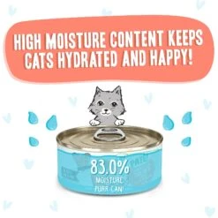 BFF Play Pate Lovers Salmon & Tuna Tuck Me In Wet Cat Food 16 BFF Play Pate Lovers Salmon & Tuna Tuck Me In Wet Cat Food -Furry Friends 192262 PT3. AC SS1800 V1649751993