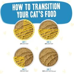 BFF Play Pate Lovers Chicken Checkmate Wet Cat Food 18 BFF Play Pate Lovers Chicken Checkmate Wet Cat Food -Furry Friends 192284 PT7. AC SS1800 V1649742385