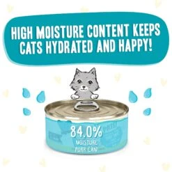 BFF Play Pate Lovers Chicken & Turkey Topsy Turvy Wet Cat Food 14 BFF Play Pate Lovers Chicken & Turkey Topsy Turvy Wet Cat Food -Furry Friends 192289 PT3. AC SS1800 V1649721393