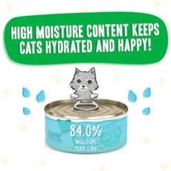 BFF Play Pate Lovers Chicken & Lamb Laugh Out Loud Wet Cat Food -Furry Friends 192292 PT3. AC SS1800 V1649720497