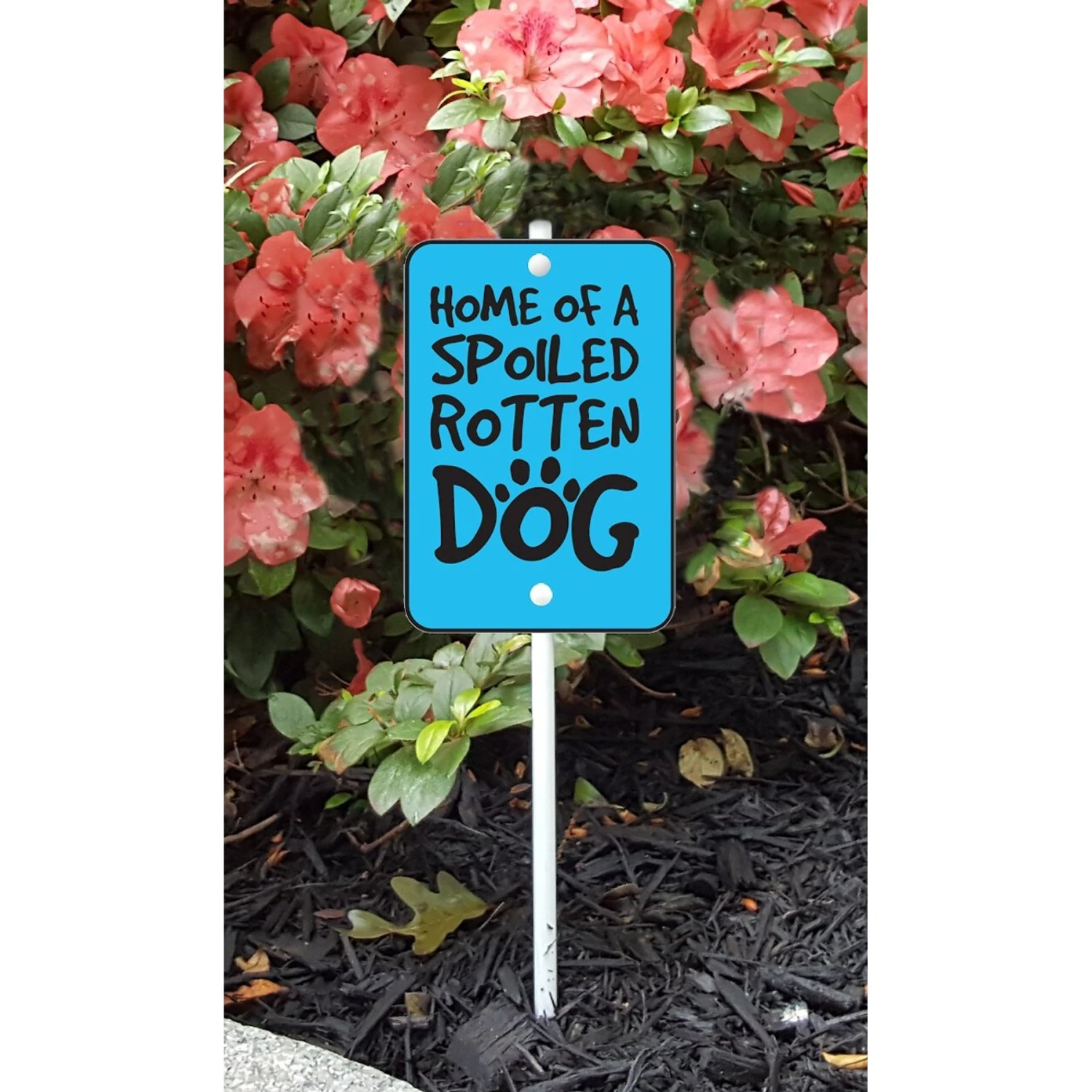 Imagine This Company "Spoiled Dog" Mini Garden Sign 5 Imagine This Company "Spoiled Dog" Mini Garden Sign - Image 3