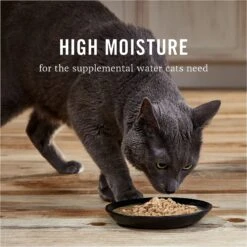 American Journey Landmark Chicken Recipe In Broth Grain-Free Canned Cat Food, 3-oz, Case Of 12 -Furry Friends 193492 PT5. AC SS1800 V1582123987