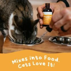 Paramount Pet Health Glucosamine Cat Supplement -Furry Friends 193928 PT2. AC SS1800 V1635274009