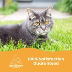Paramount Pet Health Glucosamine Cat Supplement -Furry Friends 193928 PT6. AC SS1800 V1635274314