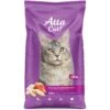 Atta Cat Chicken & Salmon Flavor Dry Cat Food
