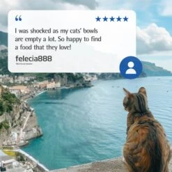 Farmina N&D Ocean Codfish, Spelt, Oats & Orange Adult Dry Cat Food -Furry Friends 196219 PT7. AC SS1800 V1679329587