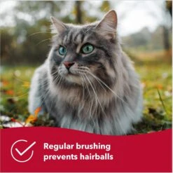 Safari Bamboo Bristle Cat Brush -Furry Friends 199922 PT4. AC SS1800 V1678122812